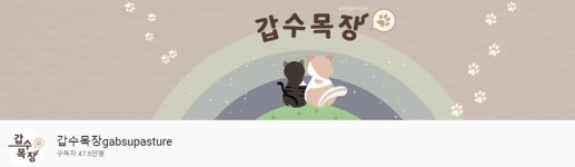 유튜버 갑수목장, 동물학대 의혹에  해명 악의적 편집…법적 대응할 것 [전문]