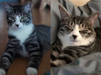 유승호, 반려동물 학대에 일침 평생 사랑만 해줘도 부족하다 [전문]