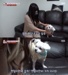 ‘동물농장’ 대소변 문제견 상추, 훈련 방법은? “쉬는 공간으로 인식”