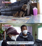 ‘동물농장’, 제주 비양도 소개견 똘이? “자기만의 왕국 다스리는 것”