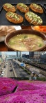 김영철의 동네 한 바퀴 경기도 군포, 철쭉동산·속달동·대파빵·설렁탕