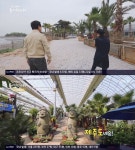 '동네 한 바퀴' 야자수 카페, 돌하르방→귤나무…"작은 제주 담고파"