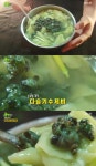 2TV 생생정보 초록 빛깔의 다슬기 수제비, 부추즙 반죽…맛·영양