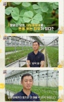 서민갑부 연 매출 31억 원 달성 식용 네잎 클로버 판매 농장은 어디?