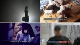 ‘실화탐사대’ 신동엽 “불법 번식했던 사람!”, 애견 분양업자에 분노