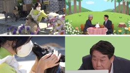 동물농장 32마리 견공의 특별한 동행→의문의 숲속 비명소리[Ce:스포]