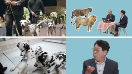 TV동물농장 신혼집 사고뭉치 푸리아리→제주에 등장한 교잡종[Ce:스포]