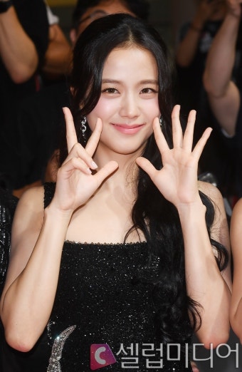 블랙핑크 지수, 악플러 법적 대응 나선다 