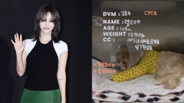 한예슬, 반려견 낙상 사고 후 