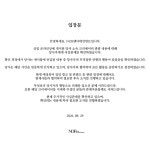 닛몰캐쉬, '데이트 폭력' 폭로 인정…