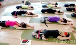 테라피 전문 요가학원 모집