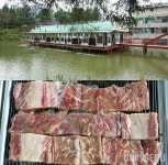 포천 이동갈비 맛집, 수중궁갈비에서 명성산 억새꽃 축제와 갈비를 함께