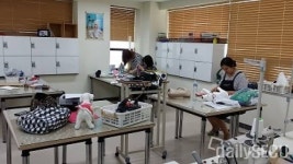 미래 유망직업으로 급부상한 애견 의류 디자이너