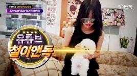 포메라니안 분양 전문 도그캐슬, 선진국형 애견분양 문화 도입