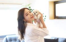 일산강아지라펫 | 프렌차이즈 일산강아지분양 스타펫타운, 비숑프리제분양