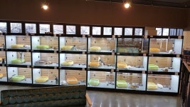 부산 고양이 강아지분양 미유펫 특가할인이벤트 진행