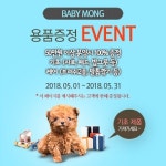 어린이날 강아지 선물, 애견분양 베이비몽 이벤트