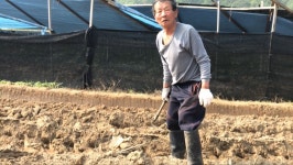 , 30년간 가혹한 노동에 멍든 축사 머슴 두 형제의 사연은?