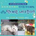 화성, 수원, 평택 강아지 고양이분양 아담스펫, 최대 80% 할인분양이벤트 중