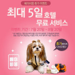 강남, 수원 애견샵 베이비몽 휴가철 강아지 할인 분양 진행