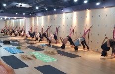 울산 정정희 메디요가&필라테스, 테라피월 요가 프로그램 도입 및 지도자 과정 개강