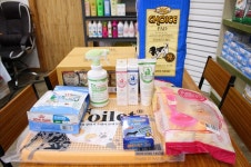 울산 애견분양 엔젤인독스와 함께하는 이벤트 진행