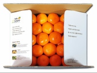 제주귤을 택배로 받아볼 수 있는 착한감귤농장 쇼핑몰 오픈