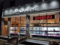 인천·일산·안양·화성 강아지분양 아담스펫 말티즈·토이푸들 등 다양한 견종 최대 80% 분양 할인이벤트 실시
