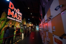 제주도 서귀포 가볼만한 곳 다이나믹 메이즈 색다른 체험 즐길 수 있어