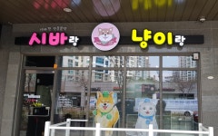 시바랑냥이랑, 철저한 위생관리 및 분양 후 사후관리까지 믿을 만한 시바견분양