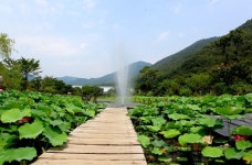 [1박 2일 여행지 추천] 대천 해수욕장 있는 충청남도 보령! 가볼 만한 곳은?