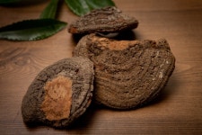 항암 효과가 탁월한 상황버섯, 자궁경부암 예방에 좋다고 알려진 상황버섯 효능과 상황버섯 먹는법 소개