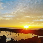 공감 게스트하우스 힐링하고 제주 모슬포 바다서 돌고래 투어 이슈