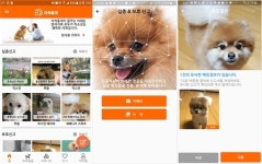 반려동물 얼굴인식 AI기술 기반의 반려동물 찾기 서비스 지켜줄개 출시
