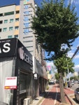 광주아이폰수리, 비용부담 없고 믿을 수 있는 오리지널액정, 눈앞에서 10분 빠른 시간 교체가능