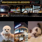 많은 반려인들이 찾고 있는 강아지분양&고양이분양 프리미엄 애견샵 미유펫 다양한 서비스 선보여