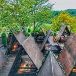 태안군 안면도 가을 감성카페 트레블 브레이크 커피