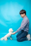 애견훈련소 도담애견방문교육, 앞으로가 더 기대돼