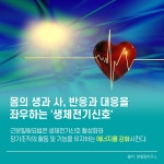 근본힐링요법의 다나파동을 통해 가정을 근본 치유의 집으로