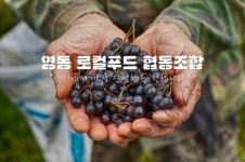 충북 영동군 로컬푸드 협동조합 온라인 홈페이지를 통해 우리 농산물을 알린다
