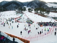 12월 6일 지산리조트 스키장 개장! 은빛 설원을 질주하는 스키인들