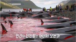 박신혜 아무 노래 챌린지로 근황 공개, 다큐멘터리 휴머니멀 코끼리 이어 오늘은 돌고래다