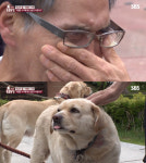 `동물농장` 아롱이·아순이 마지막 인사 두번 상처주기 싫다