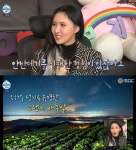 화사, 별보러 간 곳 눈길 강릉 안반데기+화악터널 쌈지공원