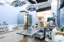 고양이-강아지 분양 전문 기업 미니펫, 수의사 직접 검진서비스 선보여