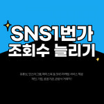 유튜브 조회수 늘리기 SNS1번가, 한국인 조회수 서비스 출시