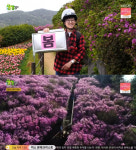 생생정보 이PD, 진달래 군락지 대금산에 감탄