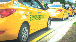 파주 올리브자동차운전전문학원, 여름방학 운전면허 취득 교육 진행