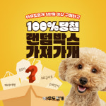 아무도없개연천 - 연천군 전곡로 149-1 | 반려동물 용품 전문샵 '아무도없개', 신년맞이 행사