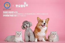 펫요람무-한국직업능력진흥원, 반려교육 업무협약
